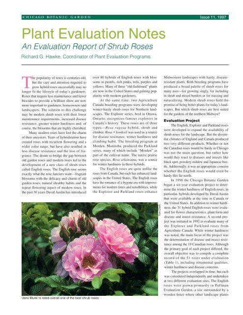 Issue 11 -Shrub roses. pdf - Chicago Botanic Garden