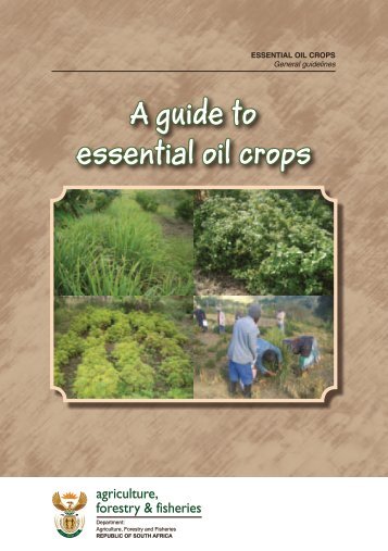 A guide to essential oil crops - Department of Agriculture, Forestry ...