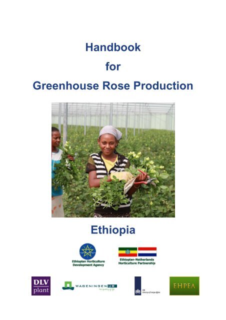 Handbook for Greenhouse Rose Production Ethiopia - DLV Plant