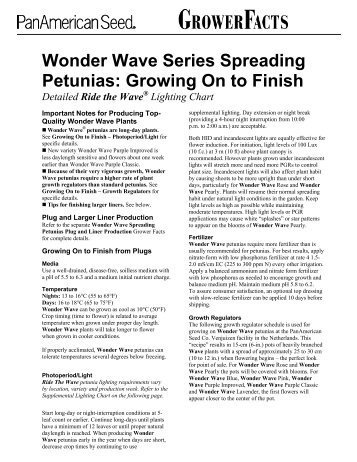 Wonder Wave Series Spreading Petunias: Growing On to Finish
