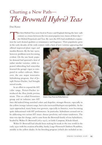 The Brownell Hybrid Teas - Heritage Rose Foundation