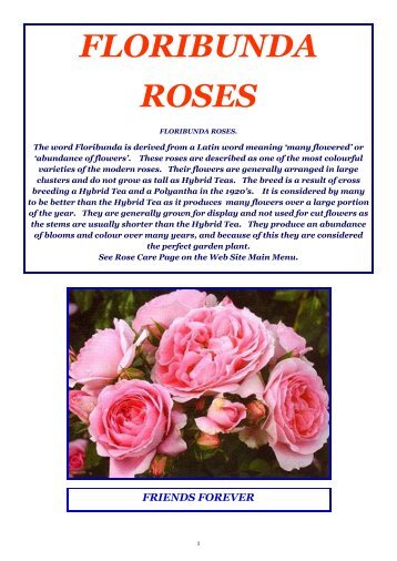 ON LINE BROCHURE Floribunda Roses - Country Garden Roses