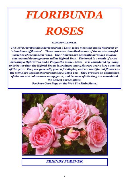 ON LINE BROCHURE Floribunda Roses - Country Garden Roses