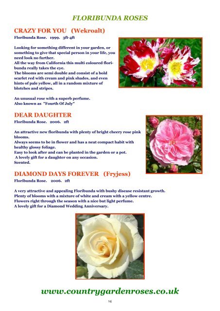 ON LINE BROCHURE Floribunda Roses - Country Garden Roses