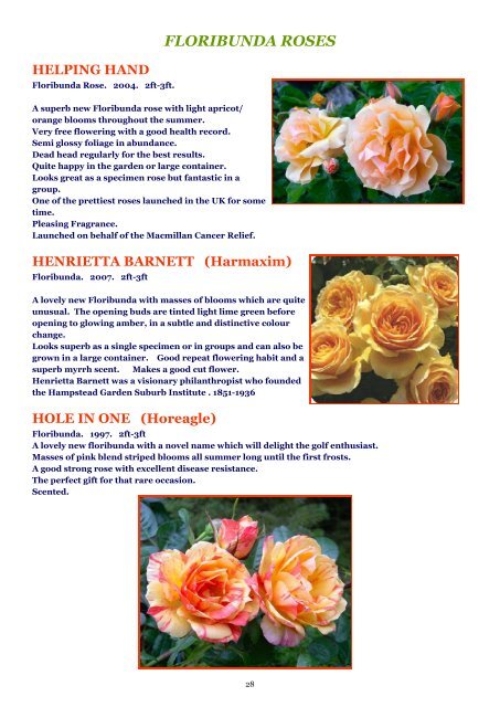 ON LINE BROCHURE Floribunda Roses - Country Garden Roses