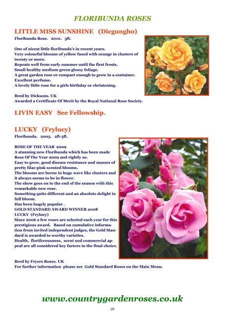 ON LINE BROCHURE Floribunda Roses - Country Garden Roses