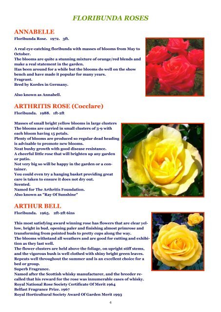 ON LINE BROCHURE Floribunda Roses - Country Garden Roses