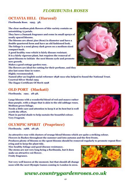 ON LINE BROCHURE Floribunda Roses - Country Garden Roses