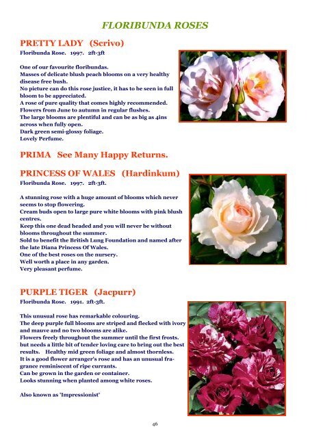 ON LINE BROCHURE Floribunda Roses - Country Garden Roses