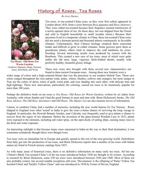 History of Roses: Tea Roses