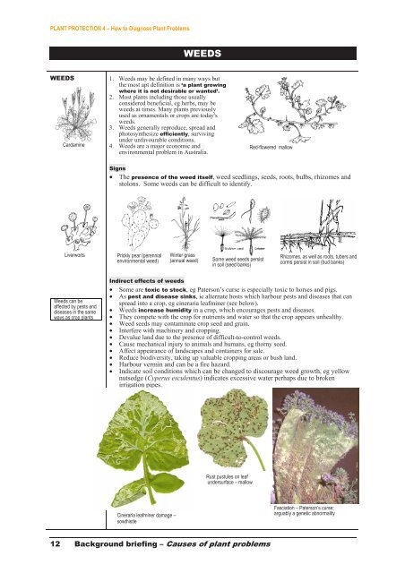 PLANT PROTECTION 4