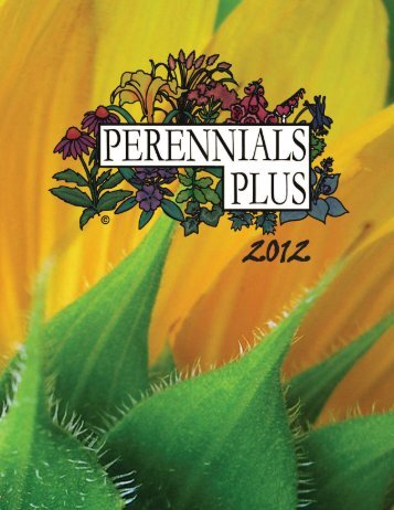 Summer Annuals New for 2012! - Perennials Plus