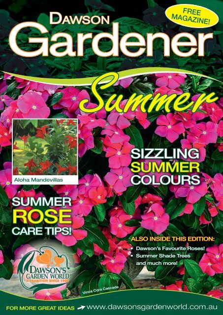 SIZZLING SUMMER - Dawson's Garden World