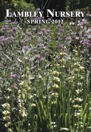 Lambley SPRING 2012.indd - Lambley Nursery