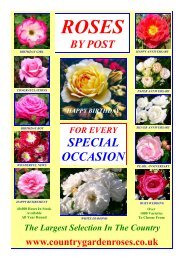 Special Occasion Brochure - Country Garden Roses