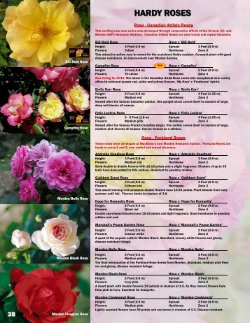 HARDY ROSES - Jeffries Nurseries Ltd.