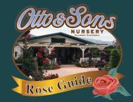 Rose Guide - Otto and Sons Nursery