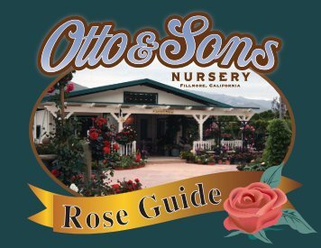 Rose Guide - Otto and Sons Nursery