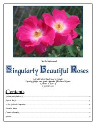 Volume 4 in PDF Format - Paul Zimmerman Roses