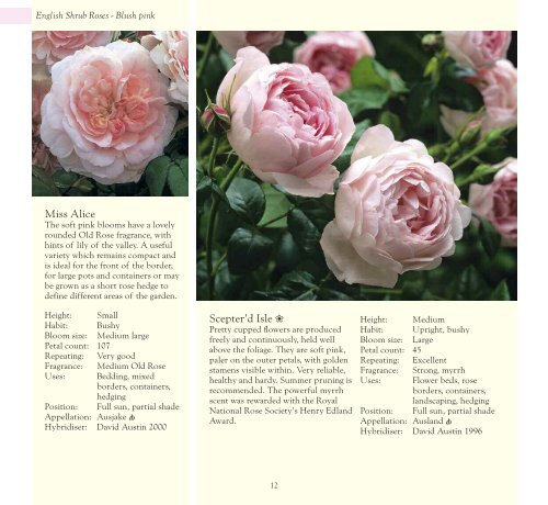 David Austin Roses Limited