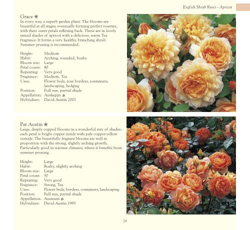 David Austin Roses Limited