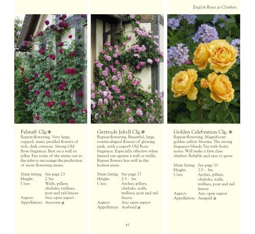 David Austin Roses Limited