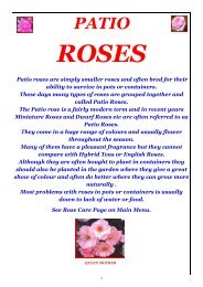 ON LINE BROCHURE Patio Roses - Country Garden Roses