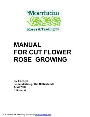 MANUAL FOR CUT FLOWER ROSE GROWING By Th.Ruys ...