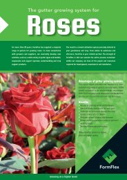Roses - FormFlex