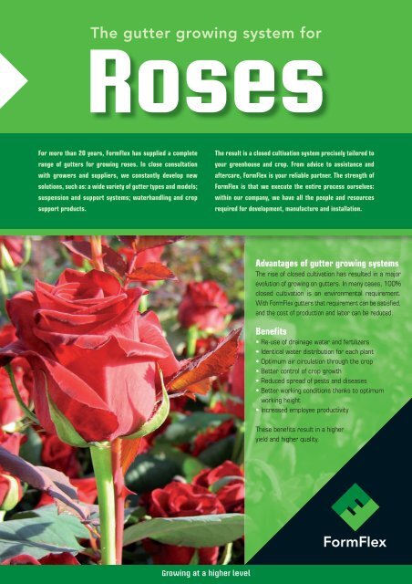 Roses - FormFlex