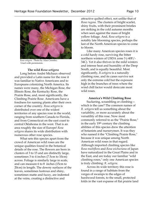 Newsletter - Heritage Rose Foundation