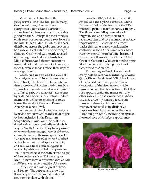 Newsletter - Heritage Rose Foundation
