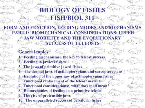 BIOLOGY OF FISHES FISH/BIOL 311