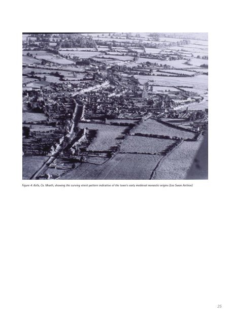 Aerial Archaeology in Ireland - The Heritage Council