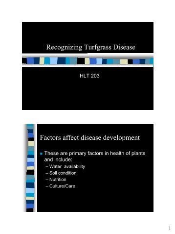 Recognizing Turfgrass Disease - Colorado State University