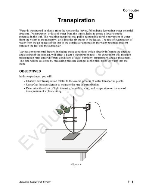 rate of transpiration experiment