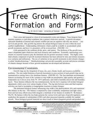 Tree Growth Rings: Formation and Form - University of Georgia