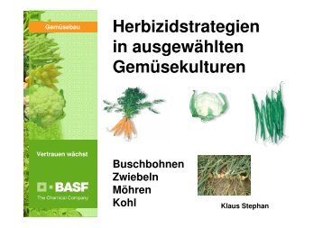 Herbizidstrategien in ausgewählten Gemüsekulturen