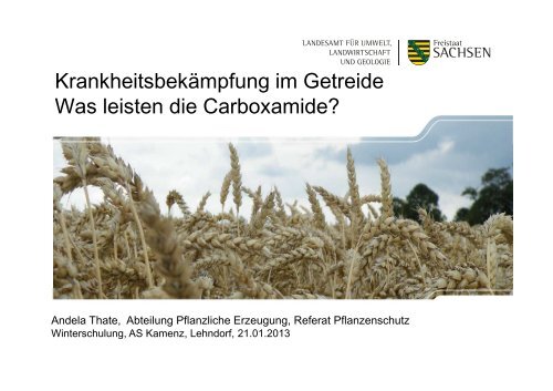 Krankheitsbekämpfung im Getreide - Was leisten die Carboxamide?