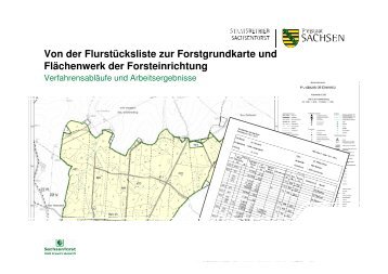 Von der Flurstücksliste zur Forstgrundkarte und Flächenwerk der  ...