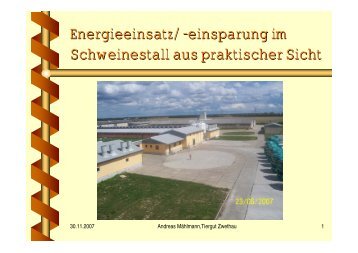 Energieeinsatz/ -einsparung im Schweinestall aus praktischer Sicht