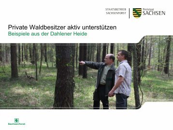 Private Waldbesitzer aktiv unterstützen - Beispiele aus der Dahlener