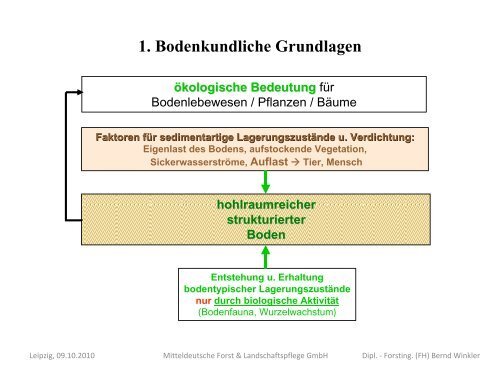 Maschinelle Holzernte im Kleinprivatwald - Technologien und ...