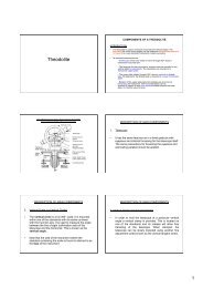 Theodolite presentation