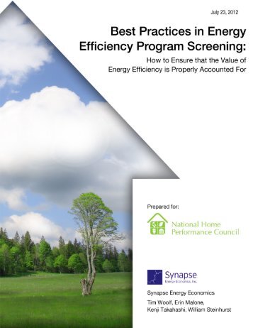 Best Practices in Energy Efficiency Program Screening - Synapse ...