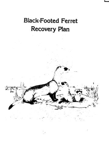 1988. Black-footed Ferret Recovery Plan - U.S. Fish and Wildlife ...