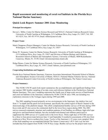 Quicklook Report 2001 - People Server at UNCW