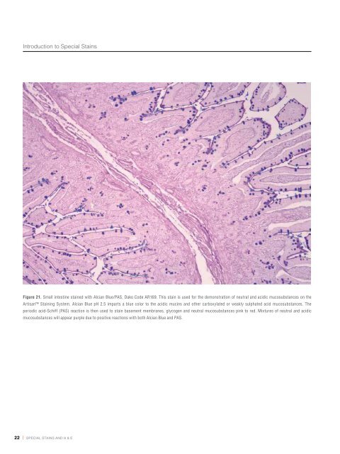 Chapter 1 | Introduction to Special Stains - Dako