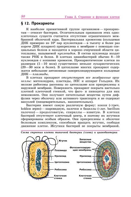 Доядерные организмы прокариоты. Укажите прокариотический организм. Функции прокариотической клетки. Укажите прокариотический организм. Укажите прокариотический организм.