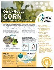 Quick Roots Sunflowers - QuickRoots